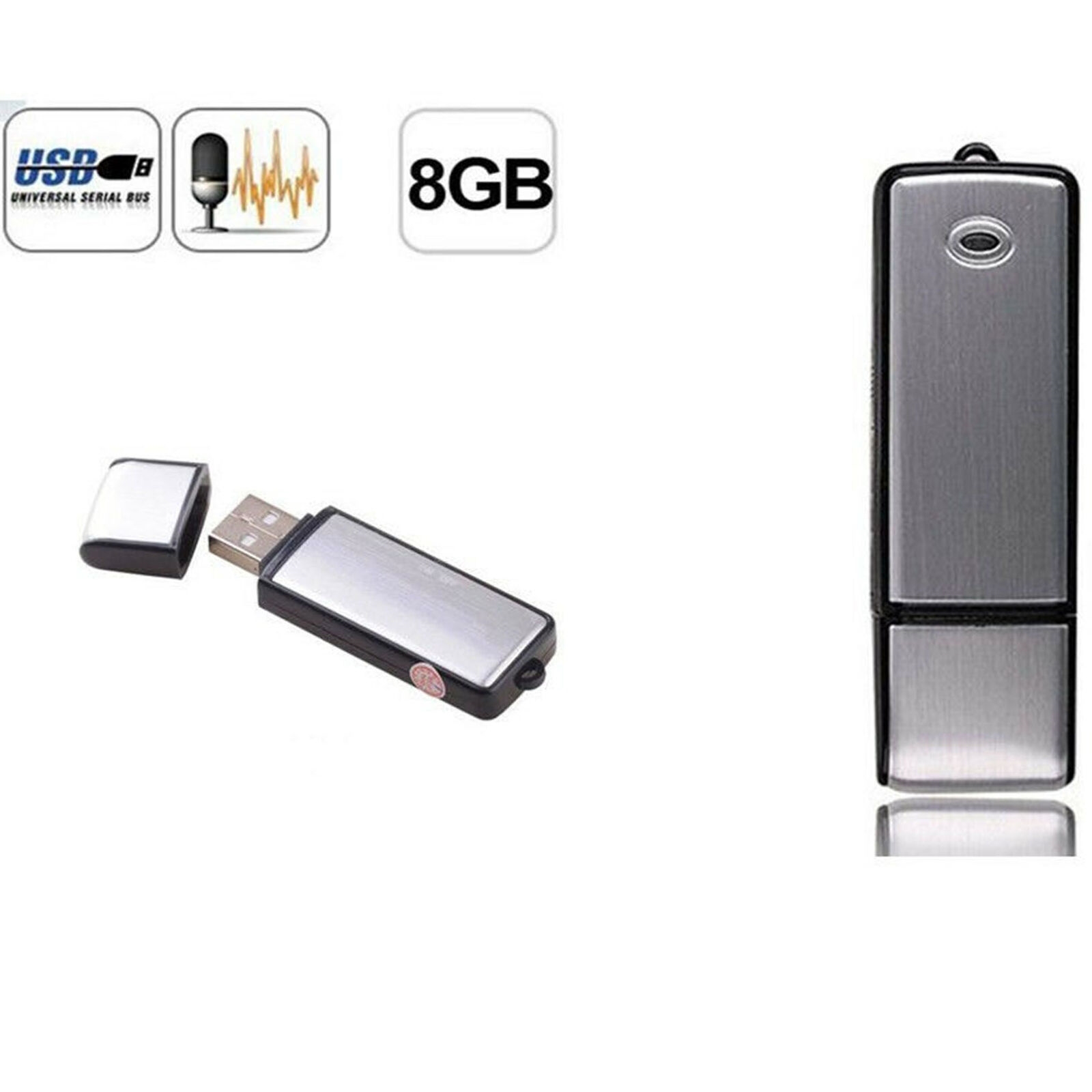 Erobre Dyrke motion utilgivelig 8GB USB Nøgle med lydoptager